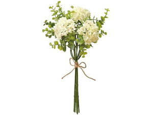 yr[e100~OFFN[|zy񂹁z  ro[i[Ju[P #37 CREAM CeA ͂Ȃ ϗtA ԍ t[AWg tFCNt[ Xܑ 