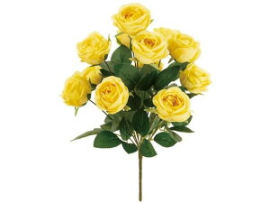 yr[e100~OFFN[|zy񂹁z  VA[YubV #4 YELLOW CeA ͂Ȃ ϗtA ԍ t[AWg tFCNt[ Xܑ o 