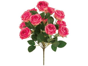 yr[e100~OFFN[|zy񂹁z  VA[YubV #52 DKEPK CeA ͂Ȃ ϗtA ԍ t[AWg tFCNt[ Xܑ o