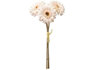 yr[e100~OFFN[|zy񂹁z  Vr[K[xoh 3{ #13 CR BE CeA ͂Ȃ ϗtA ԍ t[AWg tFCNt[ Xܑ