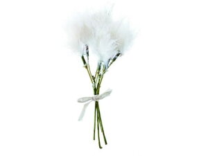 yr[e100~OFFN[|zy񂹁zYDM tFU[sbN4P zCg CeA ԍ t[AWg fR[VsbN t[AWg Ԋ Ԏ 