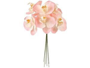 yr[e100~OFFN[|zy񂹁z  veBt@msbN #2 PINK CeA ͂Ȃ ϗtA ԍ t[AWg tFCNt[ Xܑ ԍ 