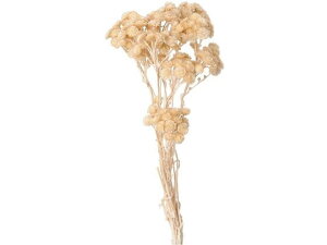 yr[e100~OFFN[|zy񂹁z vU[uht[ \tgC[e #132 ~NeB[ CeA ͂Ȃ ϗtA ԍ t[AWg tFCN