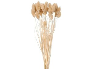 yr[e100~OFFN[|zy񂹁z hCt[ |Avc #132 ~NeB[ 10g CeA ͂Ȃ ϗtA ԍ t[AWg tFCNt