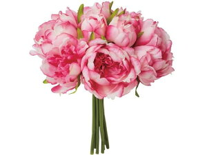 yr[e100~OFFN[|zy񂹁zYDM  sIj[u[P WBT CeA ͂Ȃ ϗtA ԍ t[AWg tFCNt[ Xܑ ԍ   t