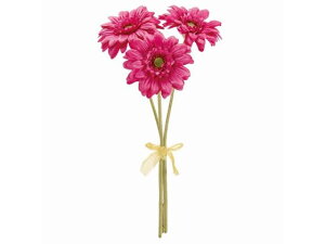 yr[e100~OFFN[|zy񂹁z  \CK[xoh 3{ BEAUTY CeA ͂Ȃ ϗtA ԍ t[AWg tFCNt[ Xܑ 