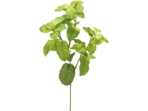 yr[e100~OFFN[|zy񂹁zYDM  ~gsbN CeA ͂Ȃ ϗtA ԍ t[AWg tFCNO[ Xܑ t O[   