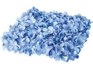 yr[e100~OFFN[|zy񂹁zYDM  nChWA}bg u[ CeA ͂Ȃ ϗtA ԍ t[AWg tFCNt[ Xܑ ԍ  