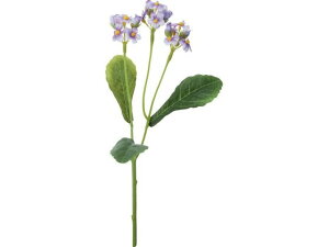 yX[p[SALE2,000~N[|119:59|Cg2{z y񂹁zYDM  XiOT x_[ ԍ   t[AWgޗ