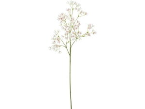 yr[e100~OFFN[|zy񂹁zYDM  xr[t[Xv[ sN CeA ͂Ȃ ϗtA ԍ t[AWg tFCNt[ Xܑ ԍ 