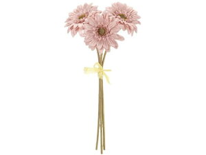 yr[e100~OFFN[|zy񂹁z  Vr[K[xoh OC[u CeA ͂Ȃ ϗtA ԍ t[AWg tFCNt[ X