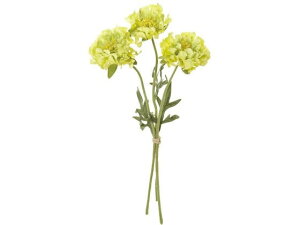 yr[e100~OFFN[|zy񂹁z  tWXJrIT #4 CG[O[ CeA ͂Ȃ ϗtA ԍ t[AWg tFCNt[ X