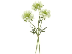 yr[e100~OFFN[|zy񂹁z  tWXJrIT #23 N[O[ CeA ͂Ȃ ϗtA ԍ t[AWg tFCNt[ X