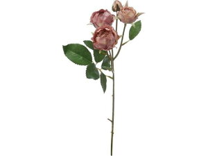 yr[e100~OFFN[|zy񂹁zYDM  ~tB[[YXv[ CeA ͂Ȃ ϗtA ԍ t[AWg tFCNt[ Xܑ o ԍ 