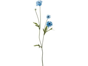 yr[e100~OFFN[|zy񂹁zYDM  {^jJO}\E Cgu[ CeA ͂Ȃ ϗtA ԍ t[AWg tFCNt[ Xܑ 