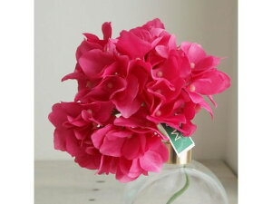 yr[e100~OFFN[|zy񂹁z  AXnChWA #216 rrbhr[eB CeA ͂Ȃ ϗtA ԍ t[AWg tFCNt