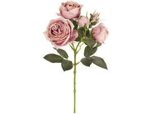 yr[e100~OFFN[|zy񂹁z  @[Y[Y #42 _XeB[u CeA ͂Ȃ ϗtA ԍ t[AWg tFCNt[ Xܑ 