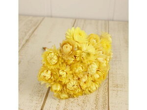 yr[e100~OFFN[|zy񂹁z hCt[ wNTC[t N[ 25{ CeA ͂Ȃ ϗtA ԍ t[AWg tFCNt