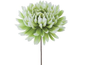 yr[e100~OFFN[|zy񂹁zYDM  dˋesbN O[zCg ԍ   t[AWgޗ