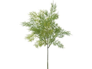 yr[e100~OFFN[|zy񂹁zYDM  S[hNXgu` O[ CeA ͂Ȃ ϗtA ԍ t[AWg tFCNt[ tFCNO