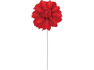 yr[e100~OFFN[|zy񂹁z  |e_AsbN #3 bh ԍ   t[AWgޗ