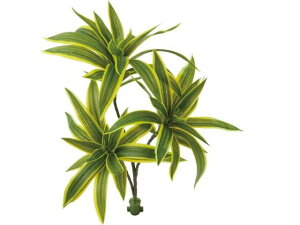 yr[e100~OFFN[|zy񂹁zYDM  bNvchZiY CeA ͂Ȃ ϗtA ԍ t[AWg tFCNO[ Xܑ t O[