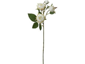 yr[e100~OFFN[|zy񂹁zYDM  ~tB[[YXv[ zCgO[ CeA ͂Ȃ ԍ t[AWg tFCNt[ Xܑ o