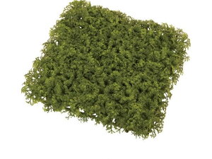 yr[e100~OFFN[|zy񂹁z  tB[hX}bg GREEN CeA ͂Ȃ ϗtA ԍ t[AWg tFCNO[ Xܑ t 