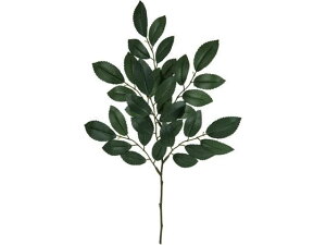 yr[e100~OFFN[|zy񂹁z  qTJLXv[ GREEN CeA ͂Ȃ ϗtA ԍ t[AWg tFCNO[ Xܑ t O