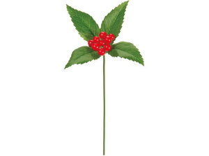 yr[e100~OFFN[|zy񂹁z  痼~jsbN bh 3{ CeA ͂Ȃ ϗtA ԍ t[AWg fR[VsbN Xܑ 