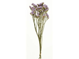 yr[e100~OFFN[|zy񂹁z hCt[ X^[`X u[ 30g CeA ͂Ȃ ϗtA ԍ t[AWg tFCNt[  X