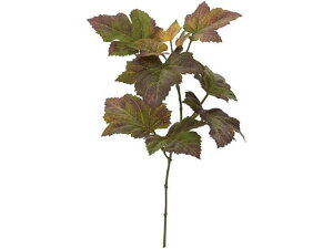 yr[e100~OFFN[|zy񂹁zYDM  NVJJ[O[vsbN bhO[ CeA ͂Ȃ ϗtA ԍ t[AWg tFCNt[ 