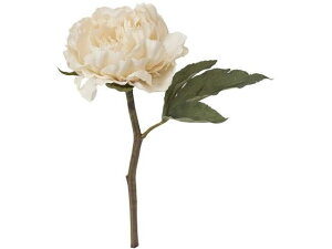 yr[e100~OFFN[|zy񂹁zYDM  A[gsIj[V[g x[W CeA ͂Ȃ ϗtA ԍ t[AWg tFCNt[ Xܑ ԍ 