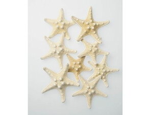 yr[e100~OFFN[|zy񂹁z Ruqgf()~j 6R CeA ԍ t[AWg VF L Lk t[AWg Ԋ Ԏ  t