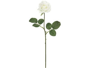 yX[p[SALE2,000~N[|119:59|Cg2{z y񂹁z  teBA[Y #1 WHITE CeA ͂Ȃ ϗtA ԍ t[AWg tFCNt