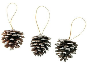 yr[e100~OFFN[|zy񂹁zYDM pCR[Zbg8P SNO CeA ԍ t[AWg I[ig Xܑ ڂ t Ԋ Ԏ  t