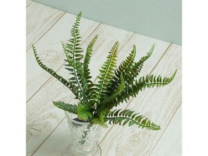 yr[e100~OFFN[|zy񂹁zYDM  V_ubVS O[ CeA ͂Ȃ ϗtA ԍ t[AWg tFCNO[ Xܑ }   