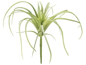 yr[e100~OFFN[|zy񂹁z  GAvc 24 GREEN CeA ͂Ȃ ϗtA ԍ t[AWg tFCNO[ Xܑ t O