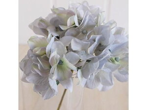 yr[e100~OFFN[|zy񂹁z  AXnChWA #115 GY BL 151 CeA ͂Ȃ ϗtA ԍ t[AWg tFCNt[ Xܑ 