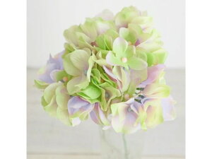 yr[e100~OFFN[|zy񂹁z  AXnChWA #111 LV GR 151 CeA ͂Ȃ ϗtA ԍ t[AWg tFCNt[ Xܑ 