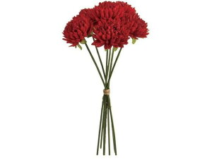 yr[e100~OFFN[|zy񂹁z  xG}sbN #3 RED 6{ CeA ͂Ȃ ϗtA ԍ t[AWg tFCNt[ Xܑ ԍ 