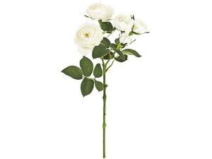 yr[e100~OFFN[|zy񂹁z  _[Y #101 PRWH CeA ͂Ȃ ϗtA ԍ t[AWg tFCNt[ Xܑ o ԍ 