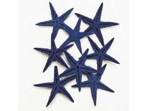 yr[e100~OFFN[|zy񂹁z X^[tBbV 8 u[ CeA ԍ t[AWg qgf t[AWg Ԋ Ԏ  t