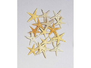 yr[e100~OFFN[|zy񂹁z X^[tBbV 20R 20 CeA ԍ t[AWg qgf t[AWg Ԋ Ԏ  t