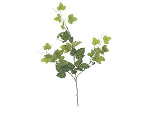 yr[e100~OFFN[|zy񂹁z  `[VTXoC GREEN CeA ͂Ȃ ϗtA ԍ t[AWg tFCNO[ Xܑ ԗt