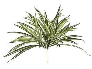 yr[e100~OFFN[|zy񂹁z  hZiubV WH GR CeA ͂Ȃ ϗtA ԍ t[AWg tFCNO[ Xܑ ԗt t