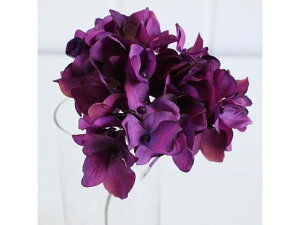 yr[e100~OFFN[|zy񂹁z  AXnChWA p[v CeA ͂Ȃ ϗtA ԍ t[AWg tFCNt[ Xܑ 