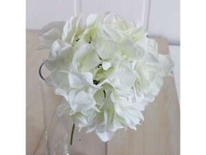 yr[e100~OFFN[|zy񂹁z  AXnChWA N[zCg CeA ͂Ȃ ϗtA ԍ t[AWg tFCNt[ X