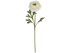 yr[e100~OFFN[|zy񂹁z  iLX\lbg zCgO[ CeA ͂Ȃ ϗtA ԍ t[AWg tFCNt[ X