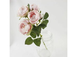 yr[e100~OFFN[|zy񂹁z  _[Y CbN CeA ͂Ȃ ϗtA ԍ t[AWg tFCNt[ Xܑ o 